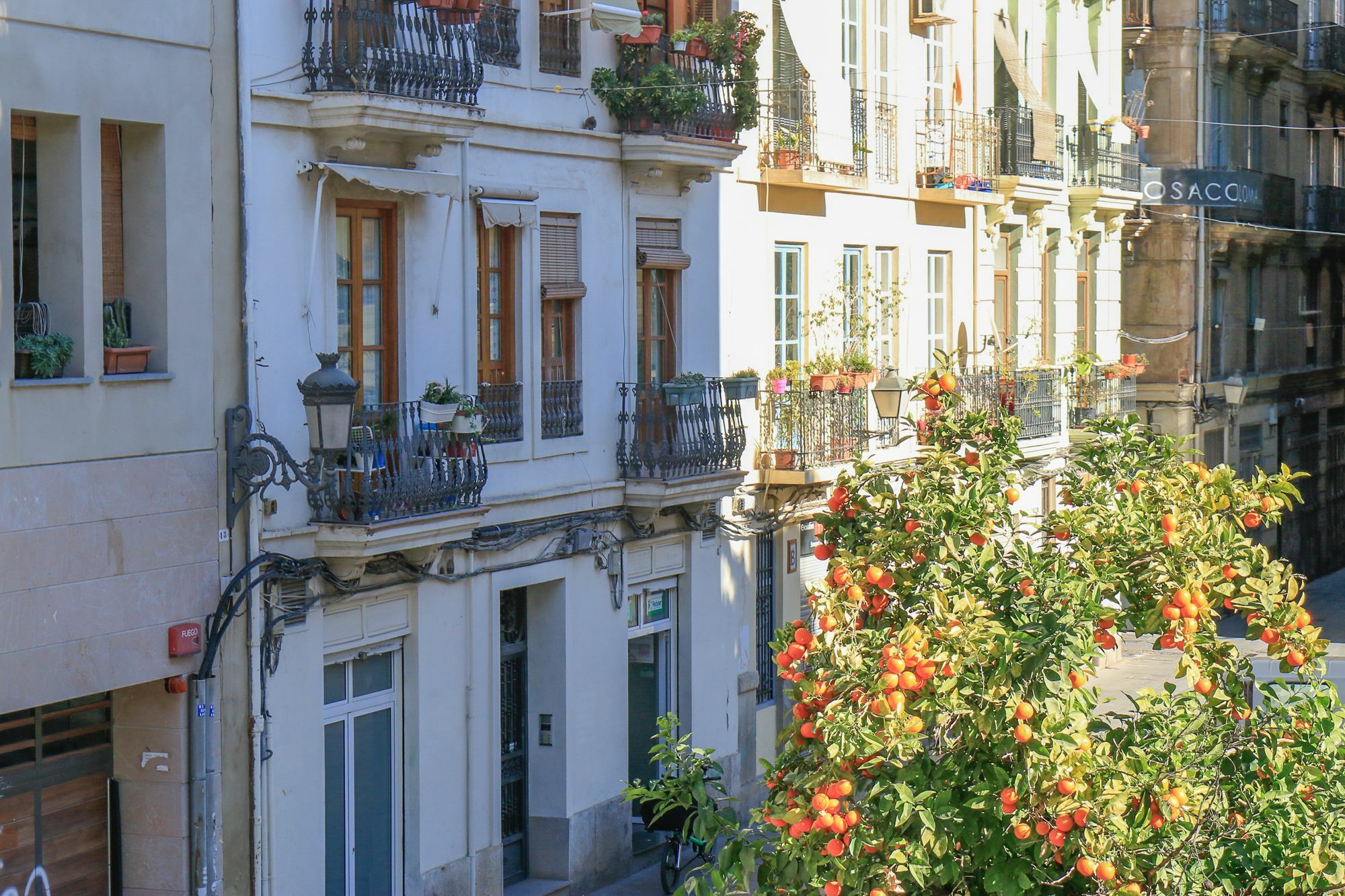 Ecobet Apartments Valencia Eksteriør bilde